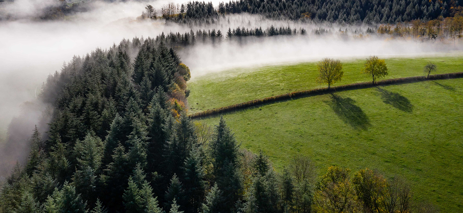 环保1520×700（第4张） 1